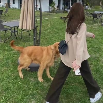 警戒第一季