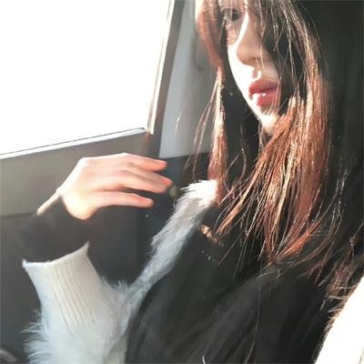 军犬麦克斯